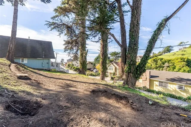 a view of a garden with an ocean