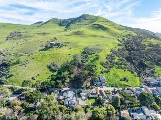 an aerial view of a house with a yard and large trees