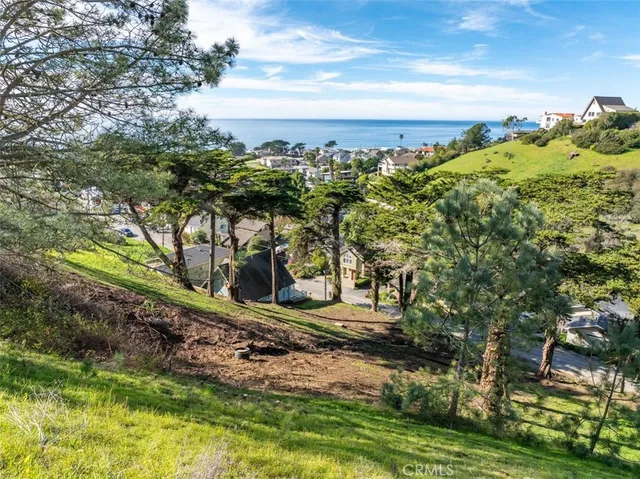 a view of a yard with an outdoor space