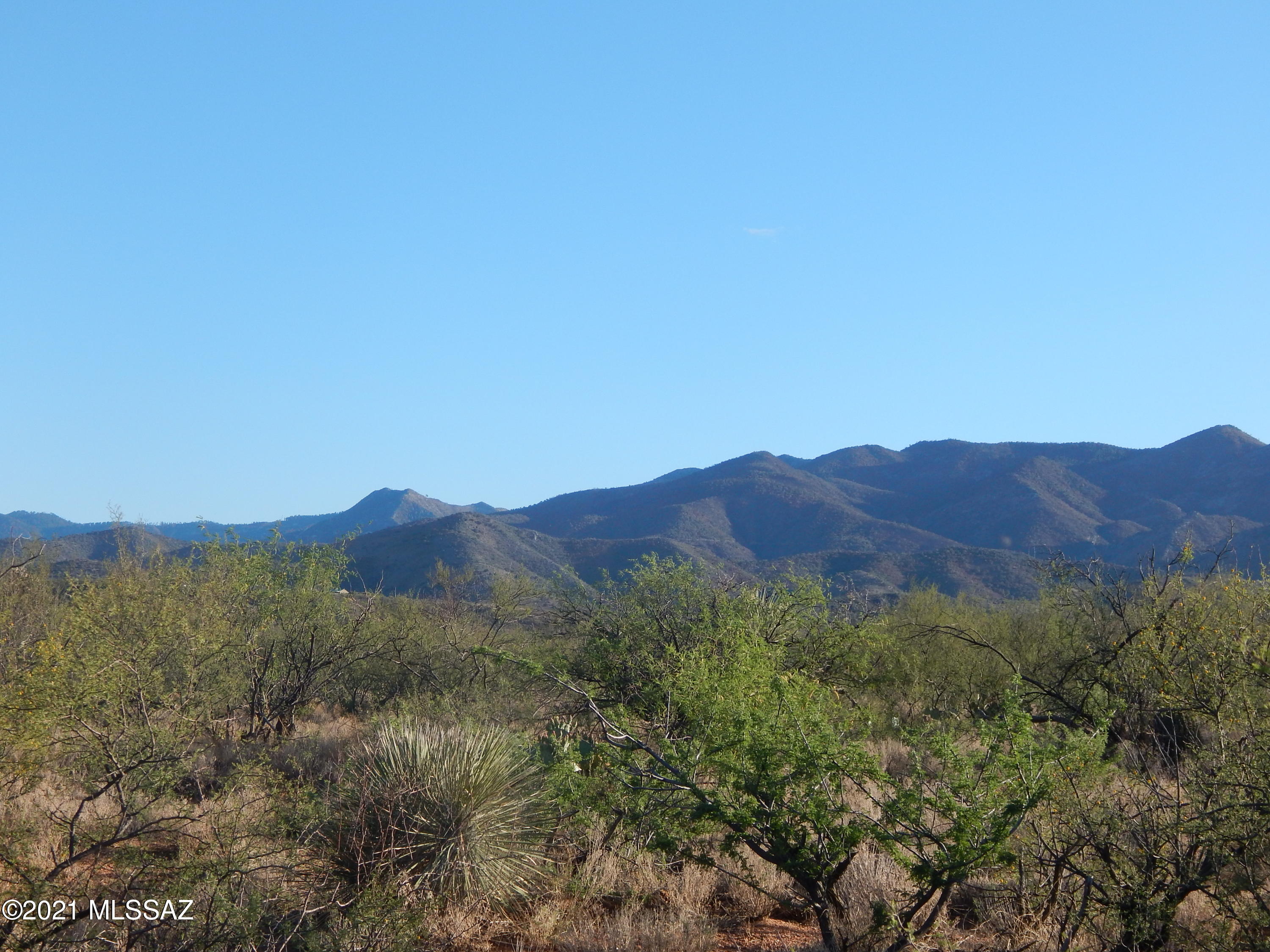 South Goldbug Road Oracle, AZ 85623 - Photo 8 of 12 a view of a mountain range with lush green forest