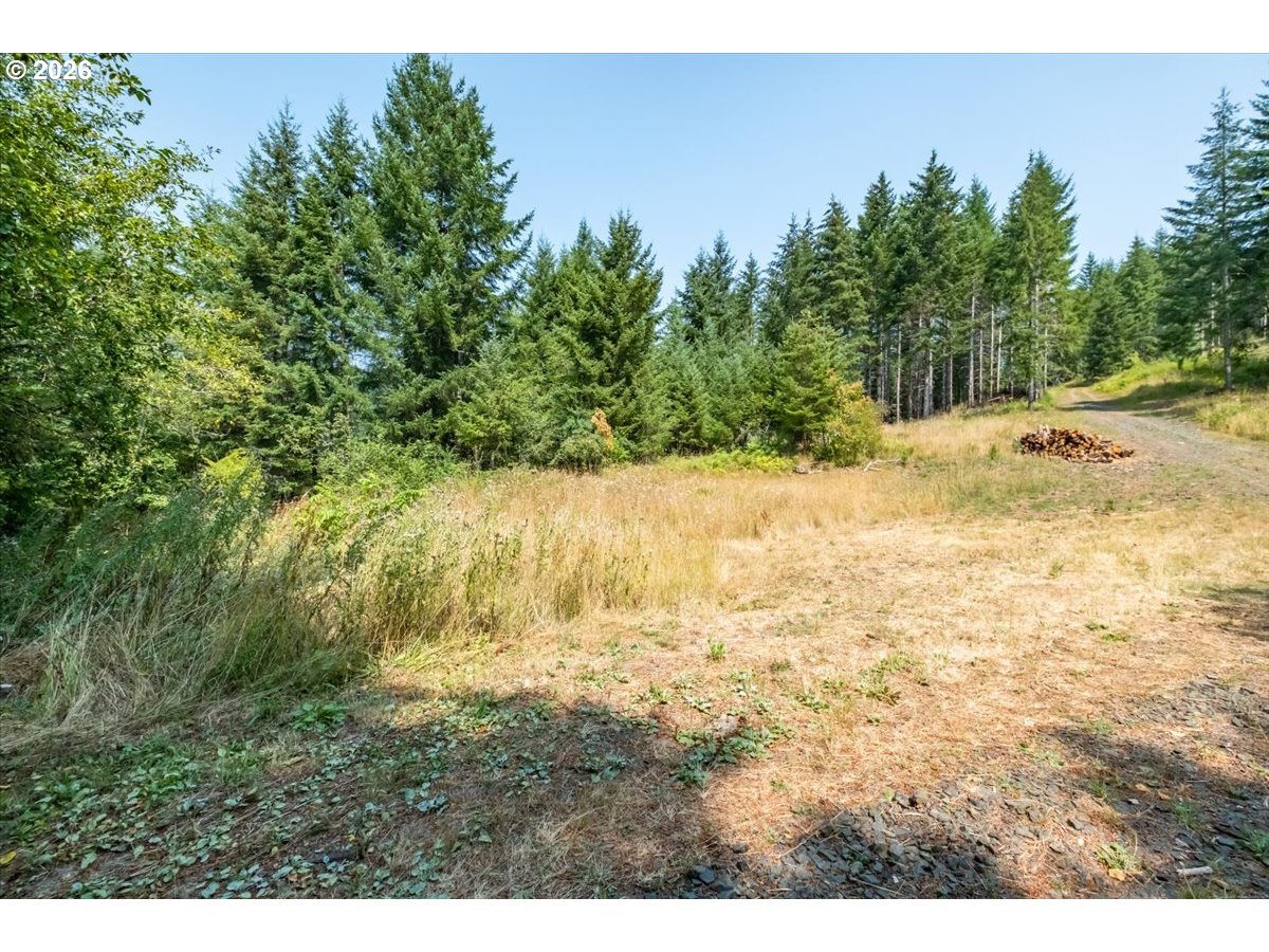 41662 Grover Road Blodgett, OR 97326 - Photo 2 of 20 Gallery Image 2
