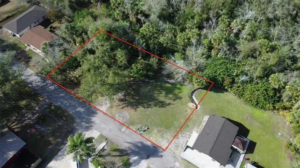 a view of a forest from a balcony