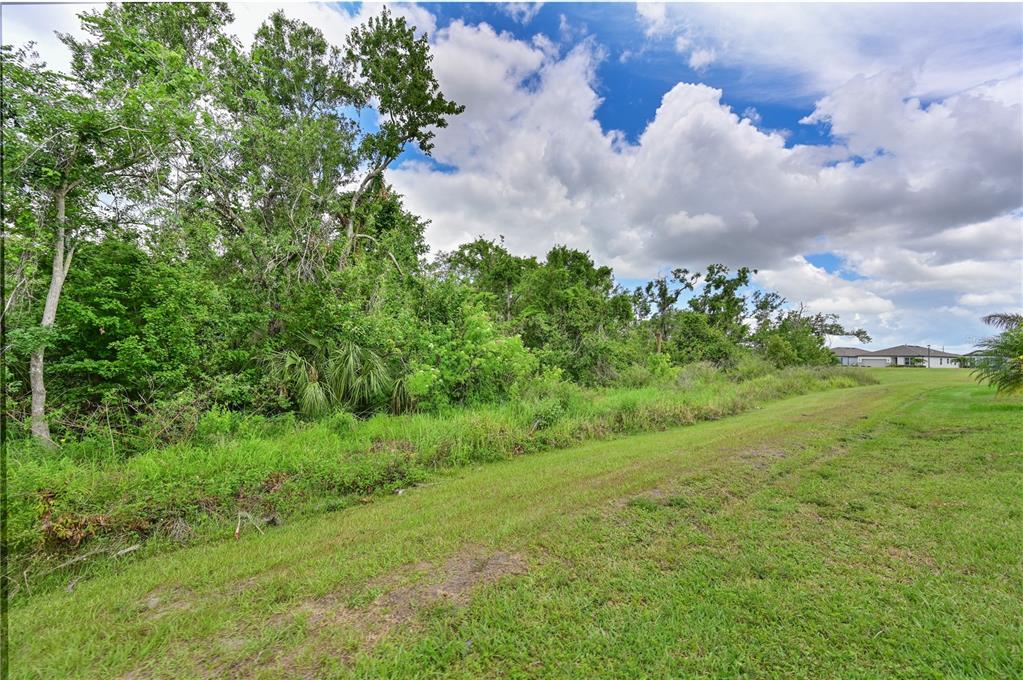 8916 Isabella Circle Parrish, FL 34219 - Photo 32 of 62