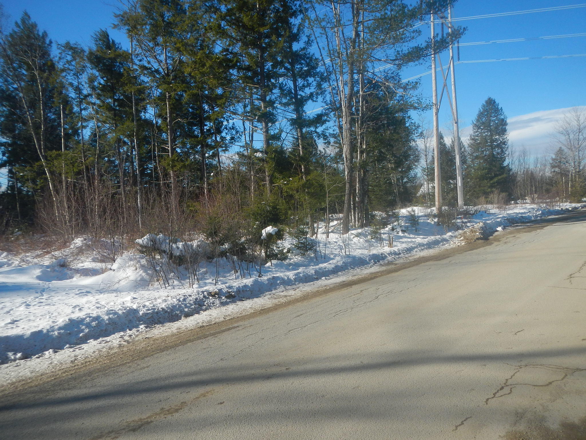 Lot A Pea Ridge Road Lincoln, ME 04457 - Photo 6 of 6 DSCN7976