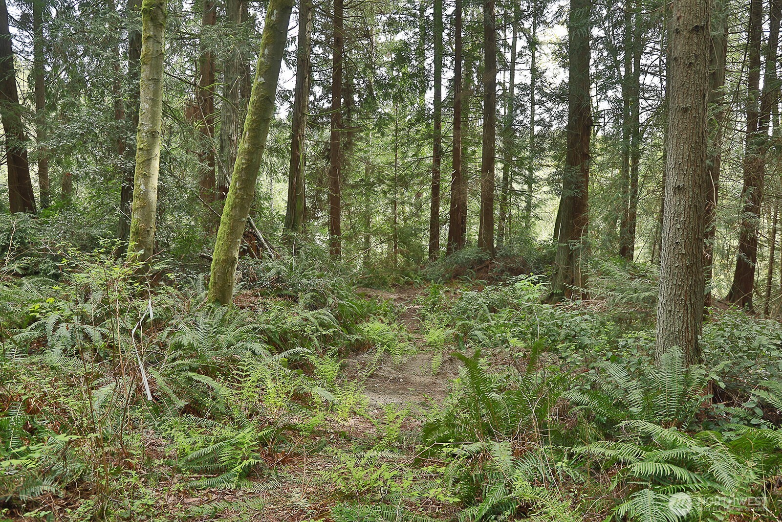 7307 Jewett Road Clinton, WA 98236 - Photo 28 of 31 Gallery Image 28
