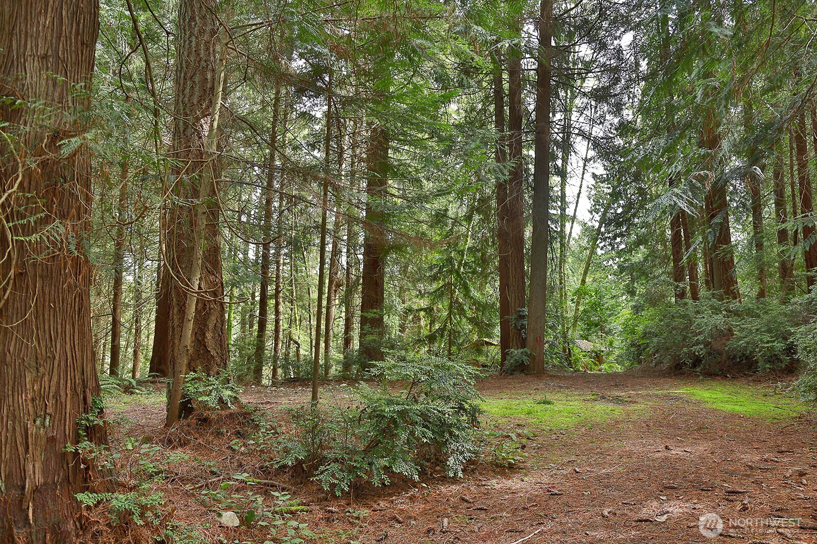 7307 Jewett Road Clinton, WA 98236 - Photo 30 of 31 Gallery Image 30
