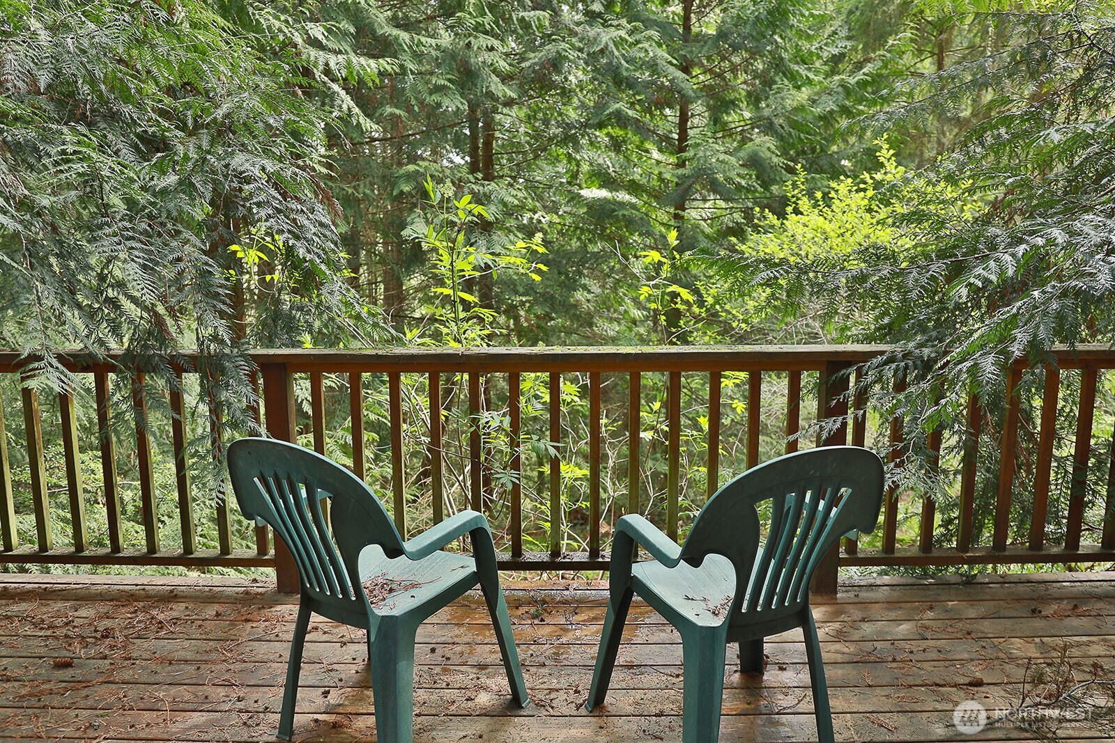 7307 Jewett Road Clinton, WA 98236 - Photo 7 of 31 Gallery Image 7