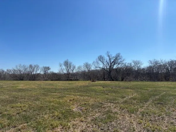 a view of a field with trees in background