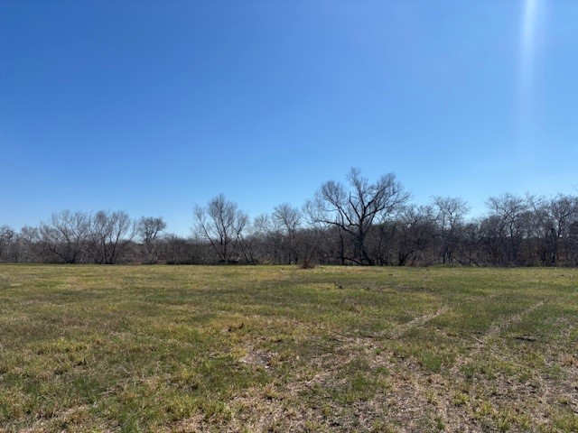105 Vogelsang Mathis, TX 78383 - Photo 4 of 11