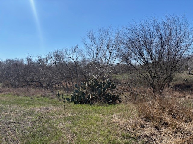 105 Vogelsang Mathis, TX 78383 - Photo 8 of 11