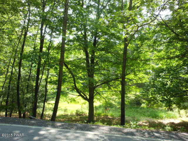 Log And Twig Road Dingmans Ferry, PA 18328 - Photo 8 of 9