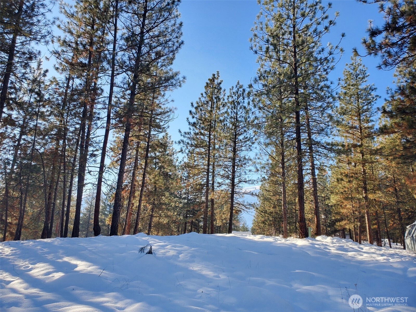 5 Chase Road Winthrop, WA 98862 - Photo 15 of 40 a view of outdoor space and yard