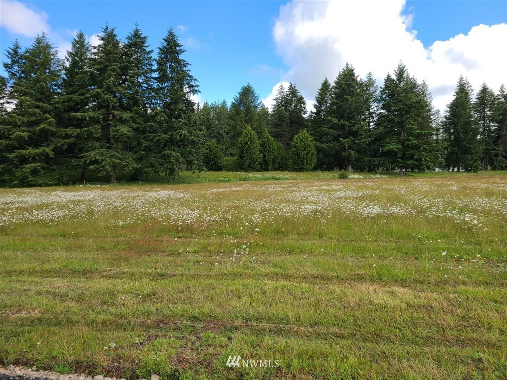 98 Heise Road South Elma, WA 98541 - Photo 2 of 5 Gallery Image 2