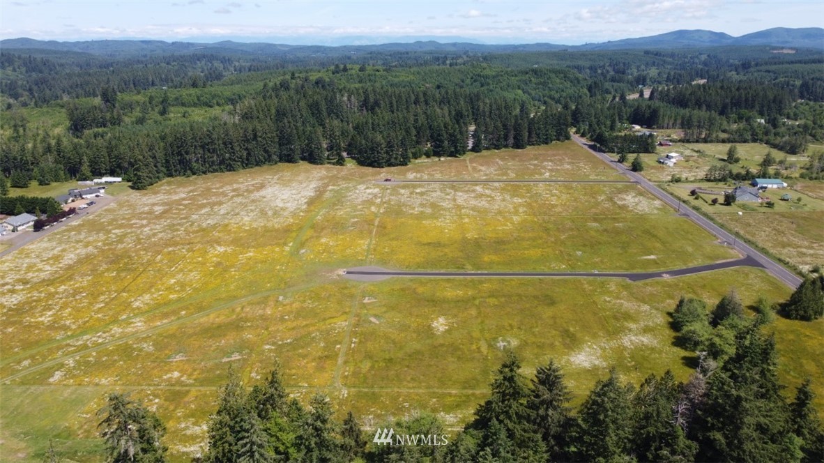 98 Heise Road South Elma, WA 98541 - Photo 4 of 5 Gallery Image 4