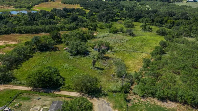 a view of a forest with a street