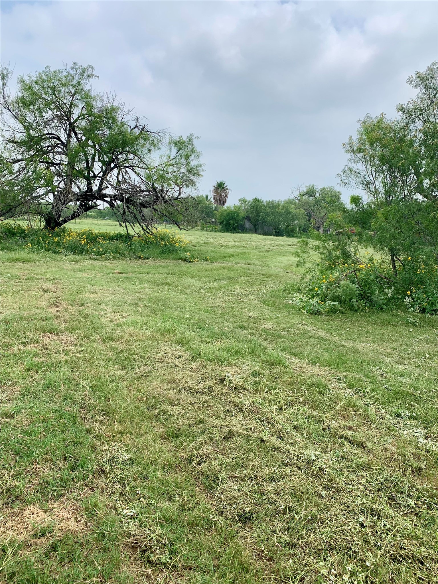 345 Pinn Road Lytle, TX 78052 - Photo 4 of 11