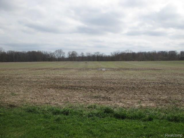 1101 Plank Road Dundee, MI 48131 - Photo 8 of 21 7.JPG
