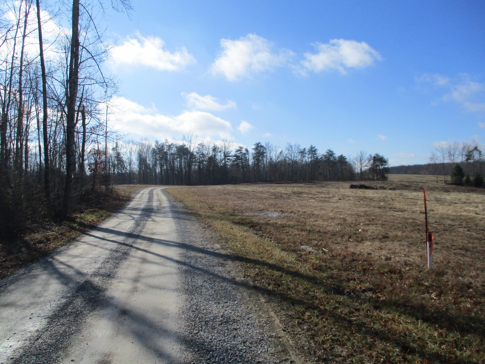 170 Laurel Cliff Road Clarkrange, TN 38553 - Photo 2 of 4 Gallery Image 2