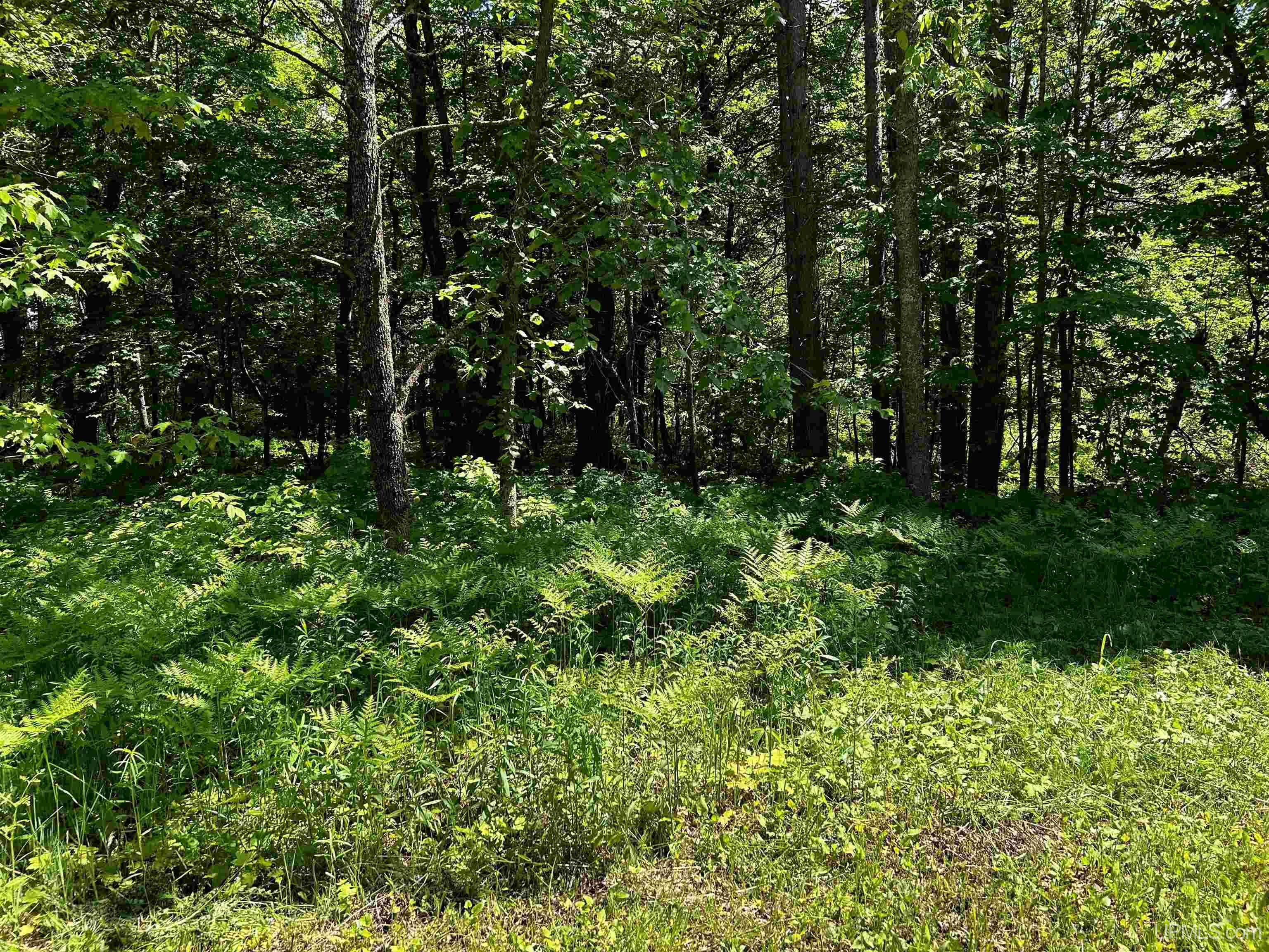 Tbd Tbd Burma Parcel B Road Bessemer, MI 49911 - Photo 3 of 10