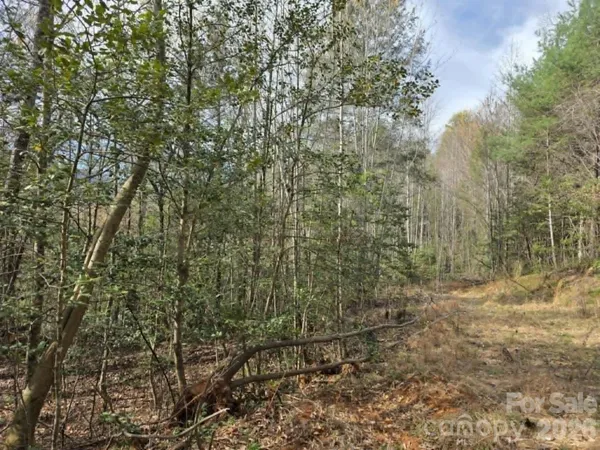 $40,000 | Lot 5 Kerlee Lane, Old Fort, NC 28762