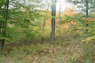 North Maple Island Road, Unit PAR A Hesperia, MI 49421 - Photo 1 of 6 Primary Photo