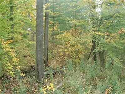 North Maple Island Road, Unit PAR A Hesperia, MI 49421 - Photo 4 of 6 Additional Photo