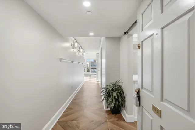 a room with window and a potted plant