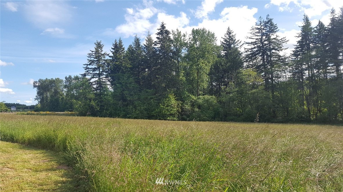 719 Tennessee Road Winlock, WA 98596 - Photo 17 of 19