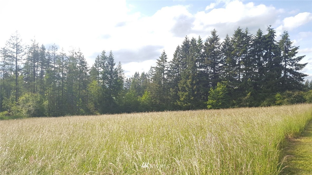 719 Tennessee Road Winlock, WA 98596 - Photo 18 of 19