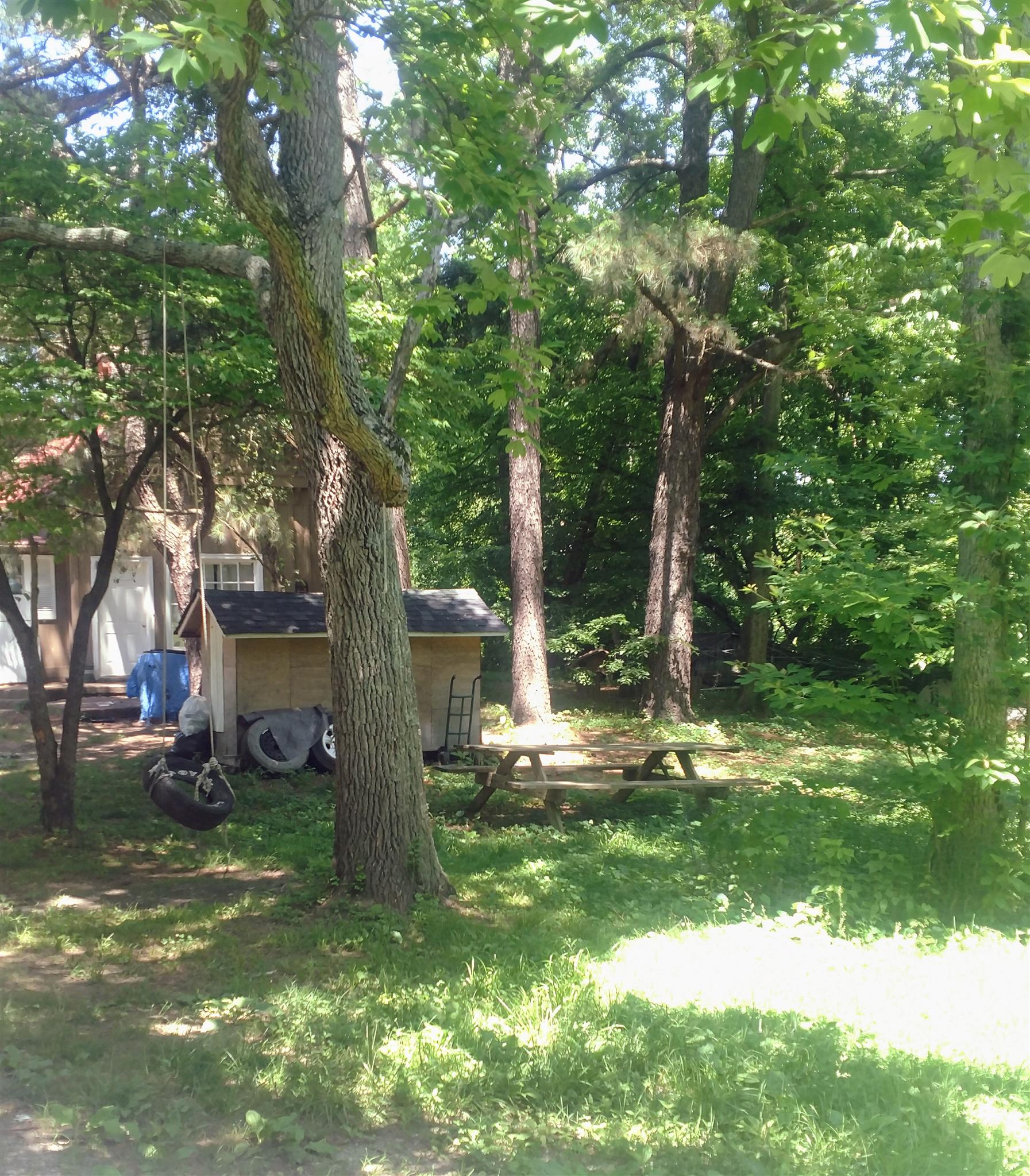 3580 Bell Road Nashville, TN 37214 - Photo 12 of 12 a view of a garden with a tree