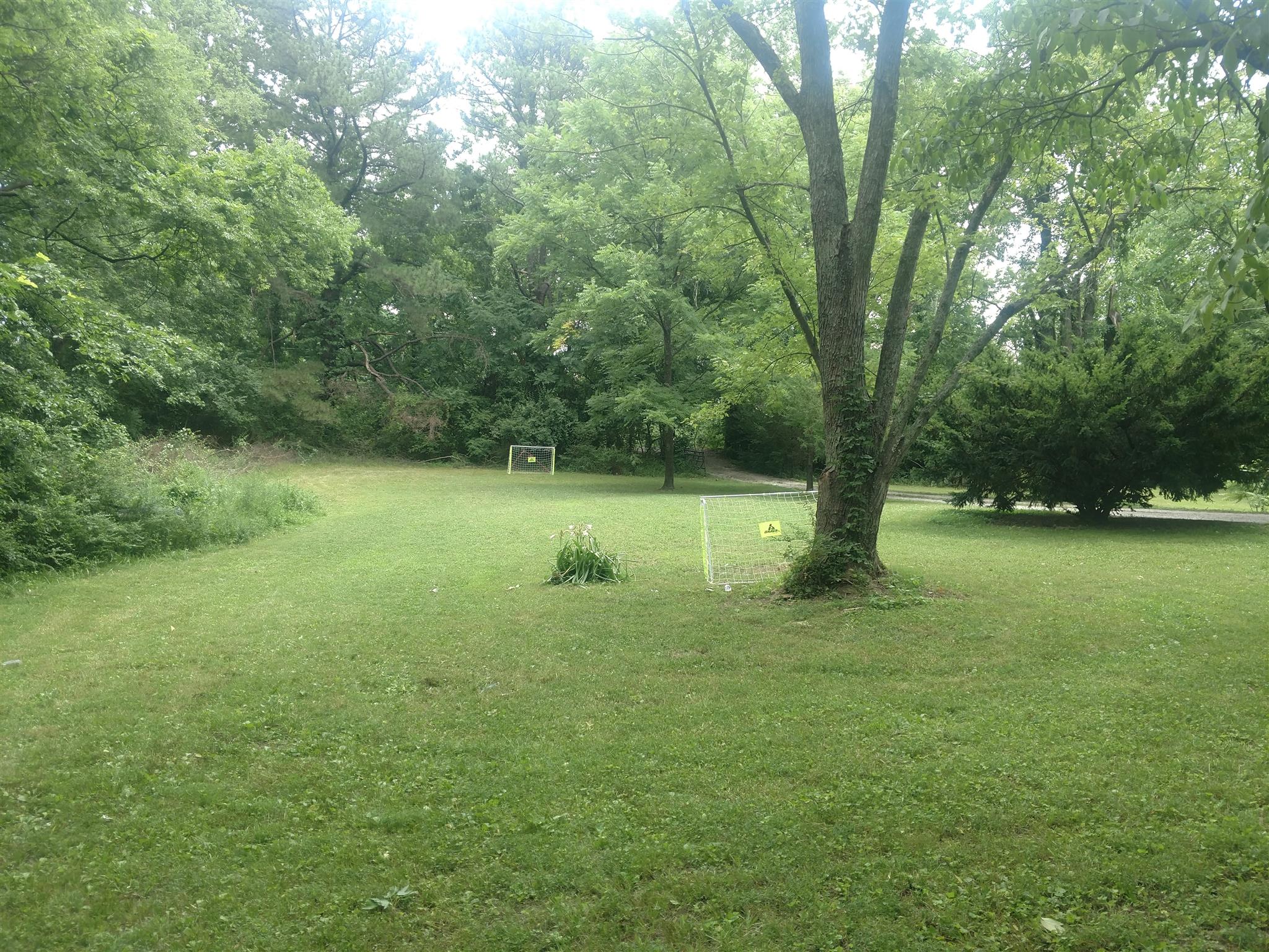 3580 Bell Road Nashville, TN 37214 - Photo 8 of 12 a view of a field with a tree