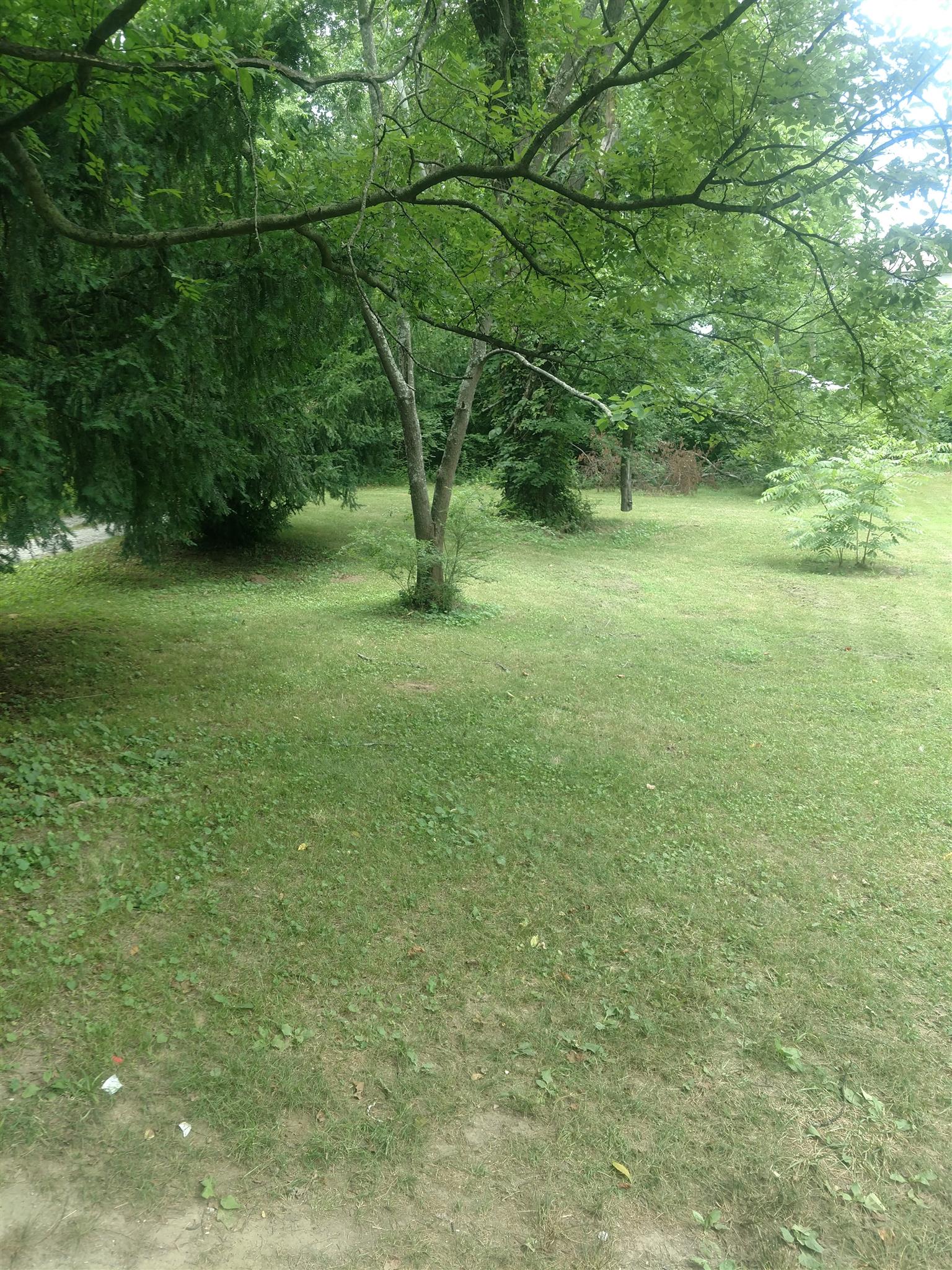 3580 Bell Road Nashville, TN 37214 - Photo 9 of 12 a view of a field with a tree