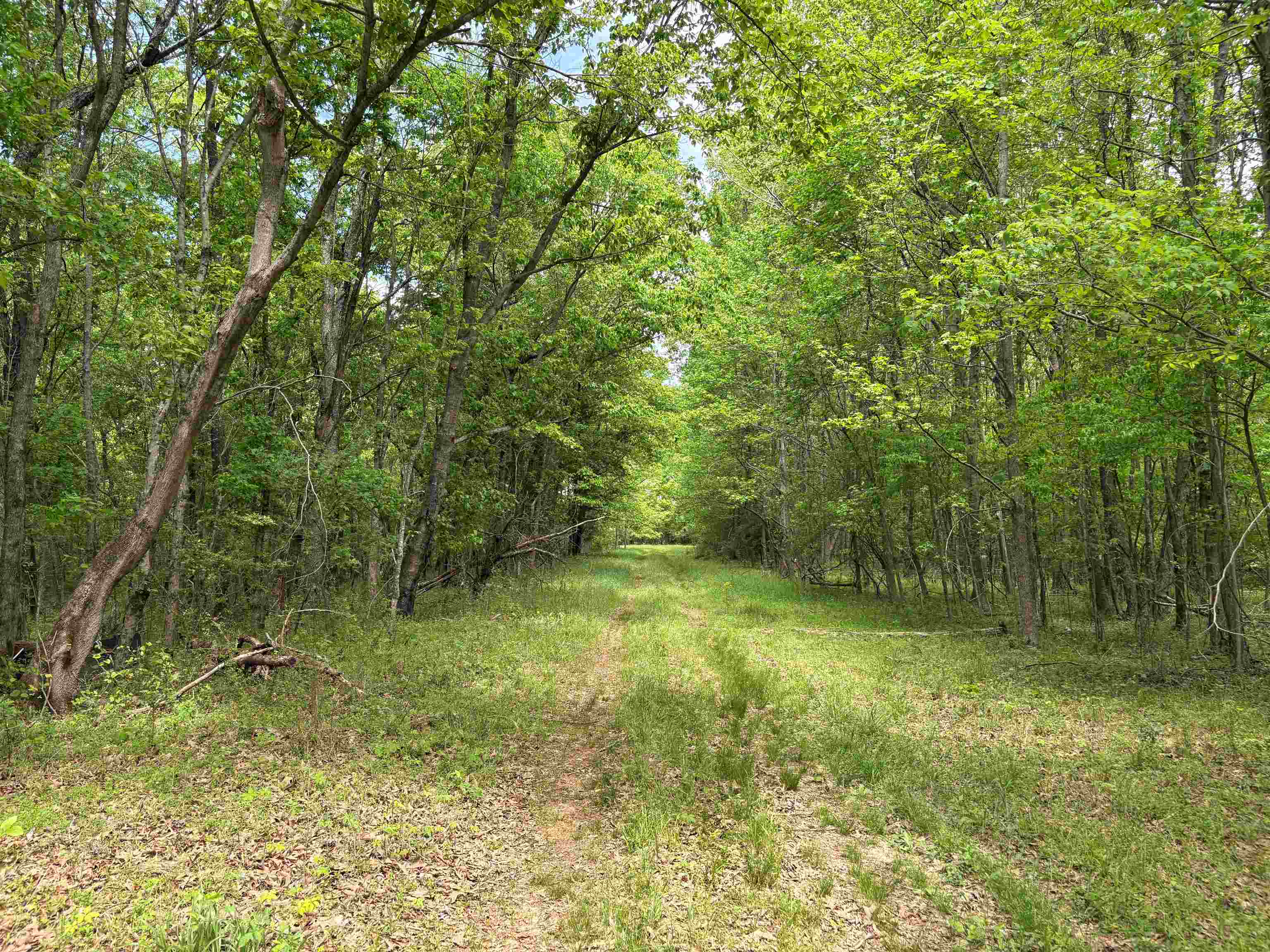 0 Osborntown Road, Unit 30 Arlington, TN 38002 - Photo 12 of 20