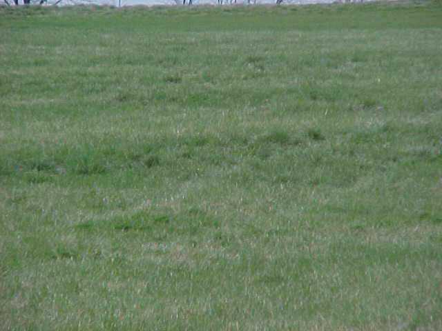 0 Tarlton Road, Unit L2 Circleville, OH 43113 - Photo 1 of 1 Gallery Image 1