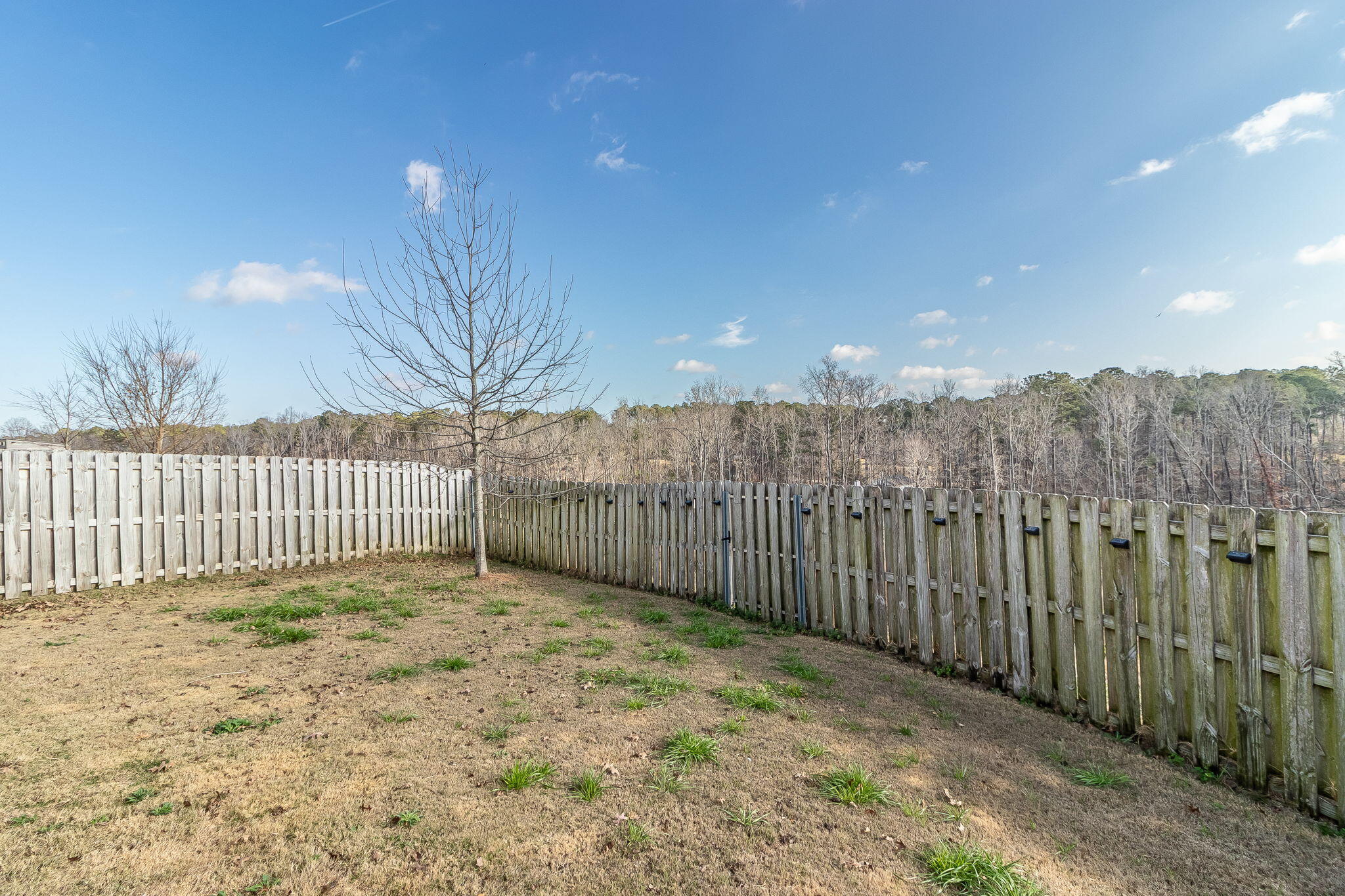 115 Dublin Loop Grovetown, GA 30813 - Photo 57 of 65 Backyard