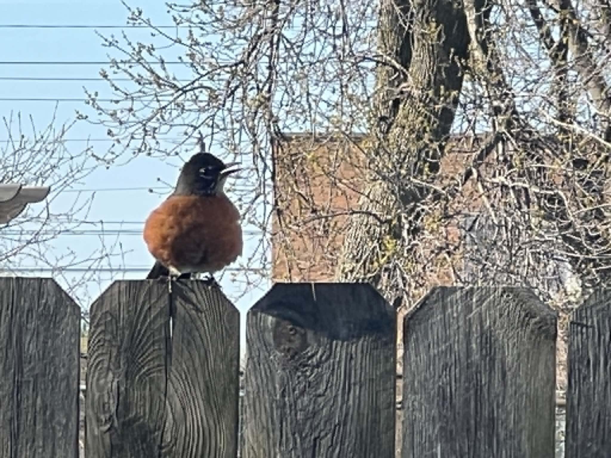 5931 North 84th Street, Unit A Milwaukee, WI 53225 - Photo 32 of 33 Robin