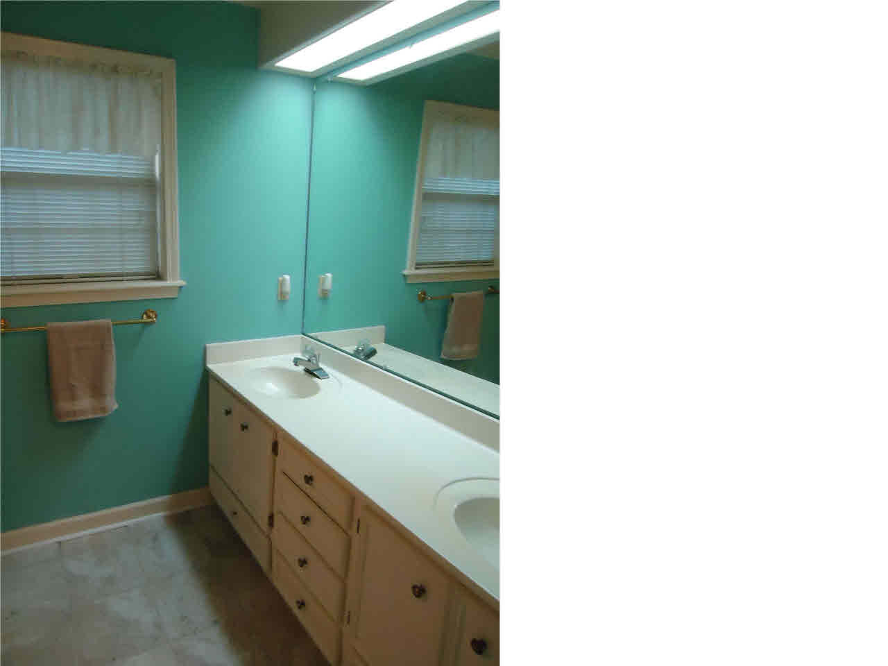 107 Timbercrest Drive Ridgeland, MS 39157 - Photo 16 of 25 Master bathroom with double vanities