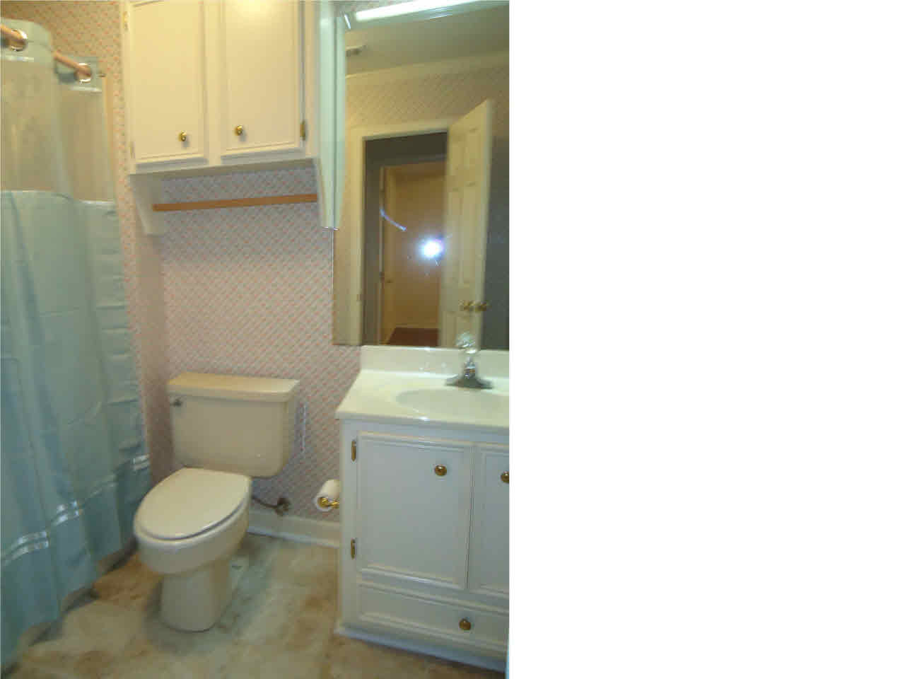 107 Timbercrest Drive Ridgeland, MS 39157 - Photo 18 of 25 Guest bathroom
