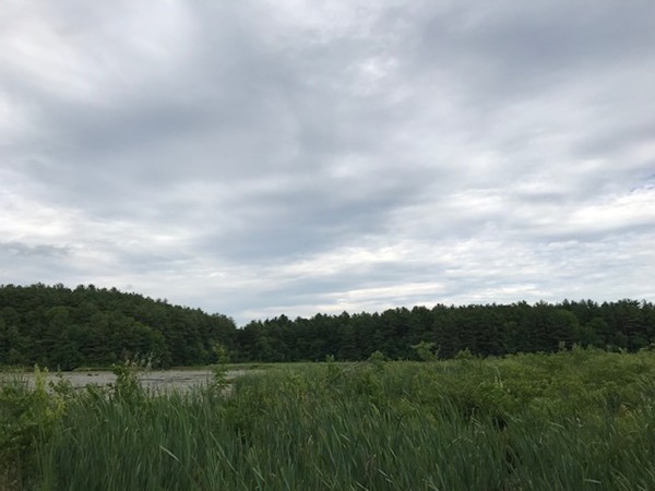 0 Prospect Road Plympton, MA 02367 - Photo 7 of 11 Gallery Image 7
