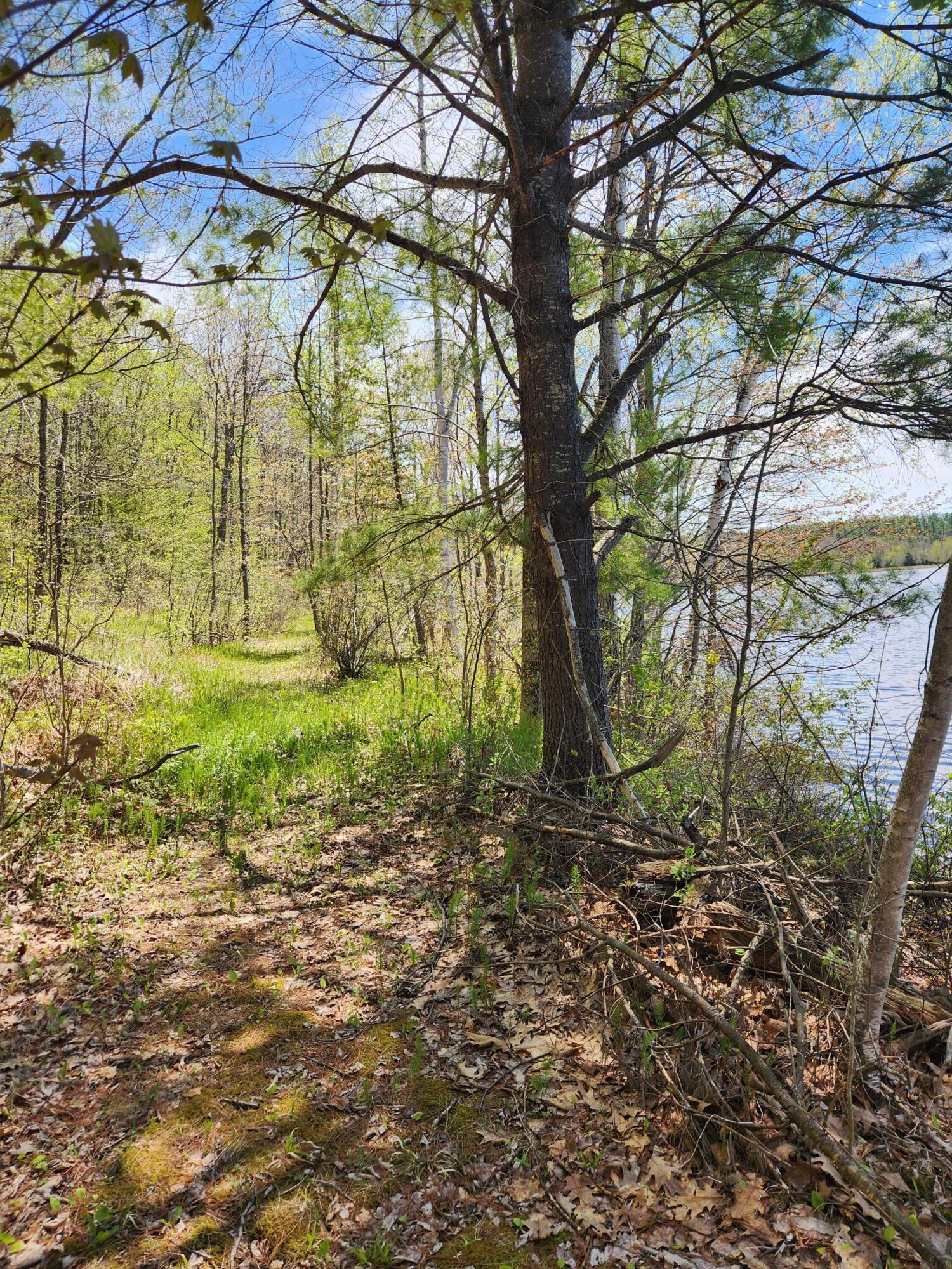 286 Staples Hill Road Canton, ME 04221 - Photo 65 of 118 20260516_131204