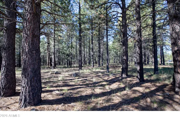 $350,000 | 1924 Quilt Country Drive, Unit 781, Forest Lakes, AZ 85931