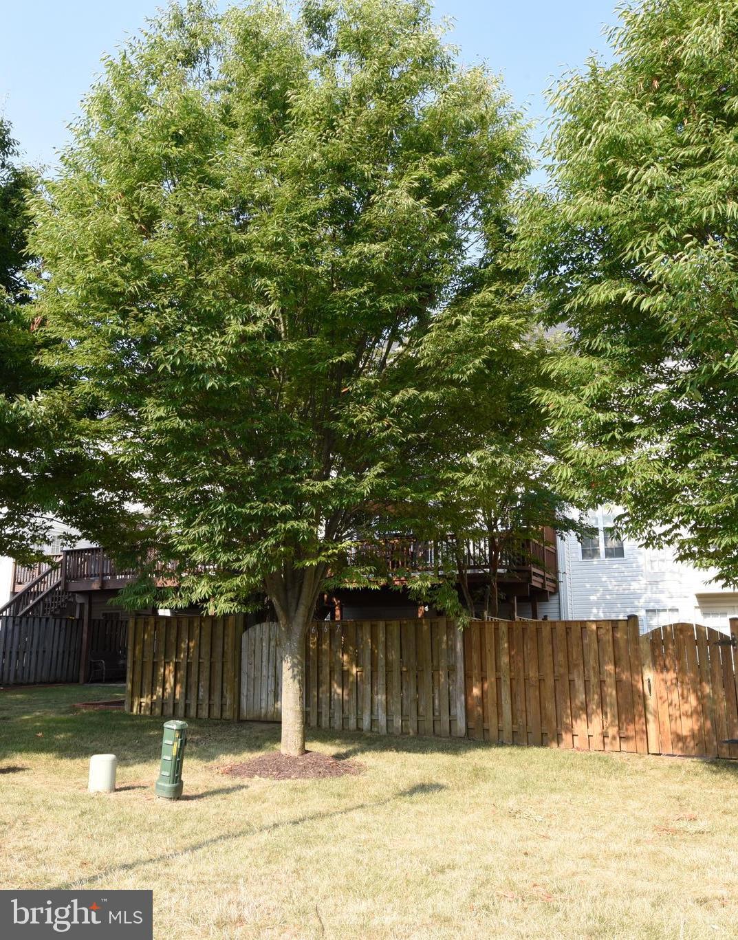 667 Springhouse Square Southeast Leesburg, VA 20175 - Photo 39 of 39 Gallery Image 39