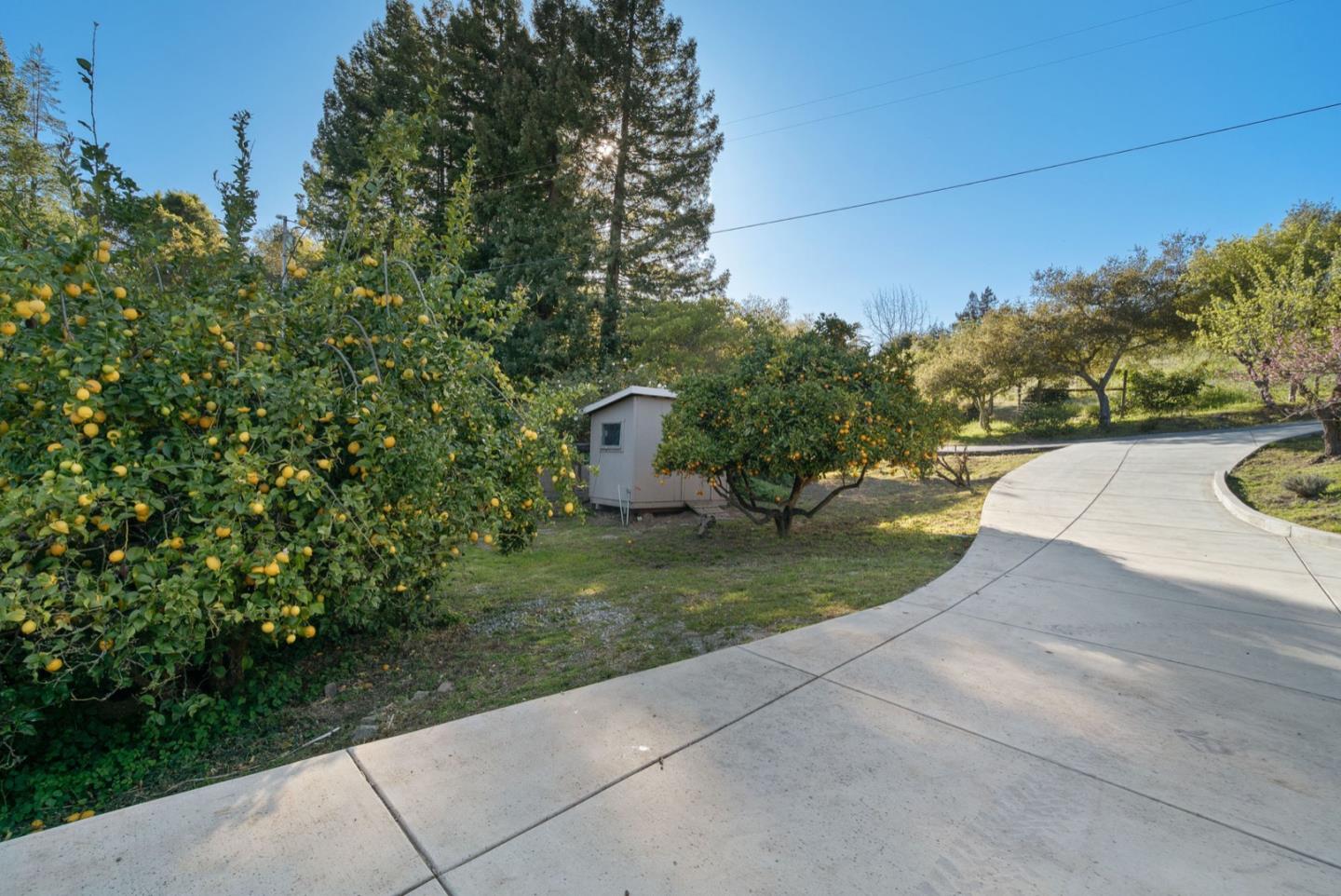 195 Raptor Road Watsonville, CA 95076 - Photo 61 of 63 a view of a garden