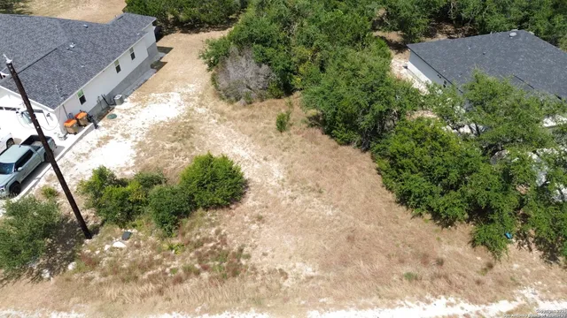 a view of a yard with plants and a large tree