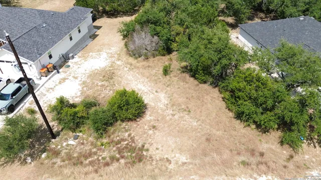 a view of a yard with plants and a large tree