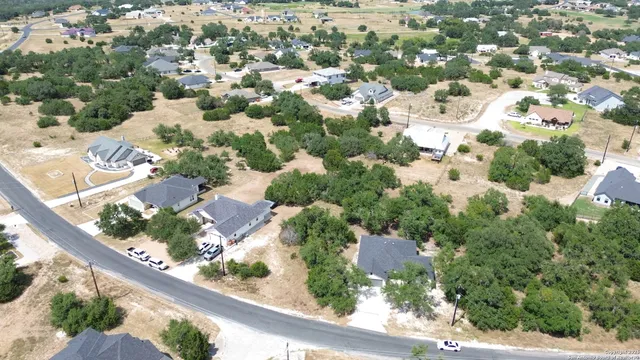 an aerial view of a house with a yard and plants