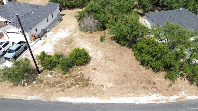 a view of a yard with plants and a bench