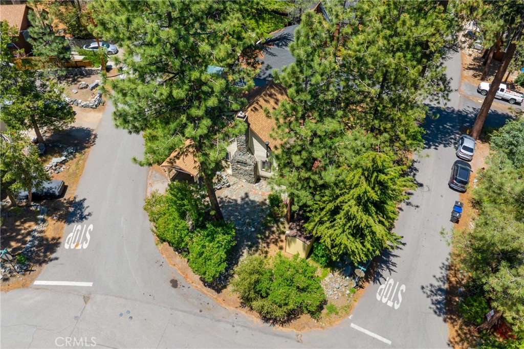 1501 Oriole Road Wrightwood, CA 92397 - Photo 28 of 29 an aerial view of a houses with yard