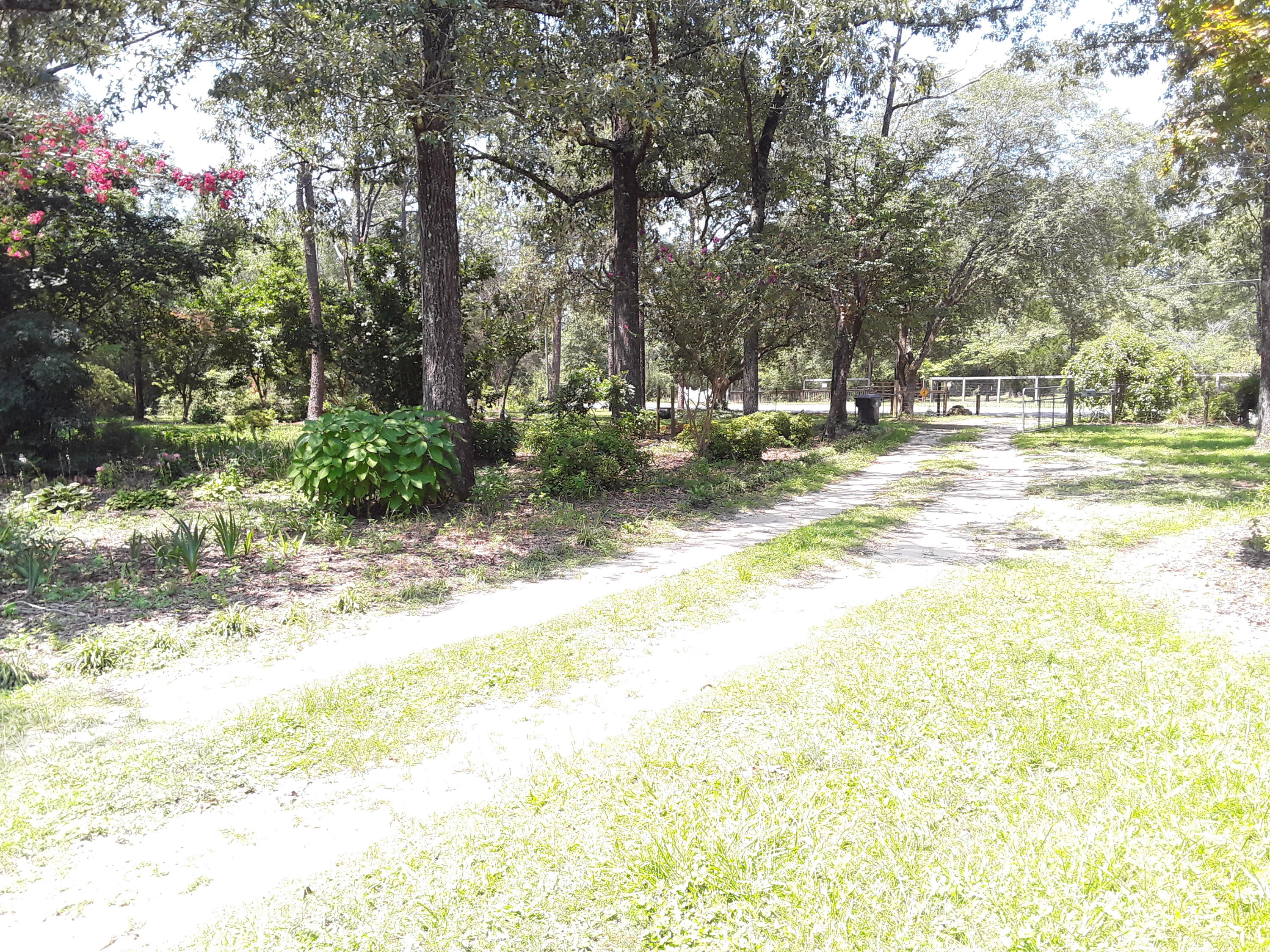 3074 King Lake Road DeFuniak Springs, FL 32433 - Photo 47 of 60 Driveway in