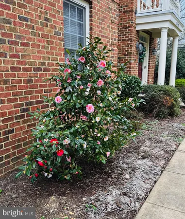 $1,249,000 | 7119 Coventry Road, Alexandria, VA 22306